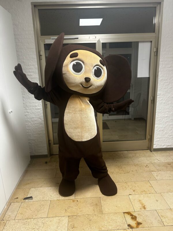 Hochzeit Deko Kostuem Cheburashka Brauns Deko Bad Arolsen Dekoverleih